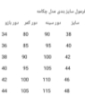تصویر  کت چرم زنانه  چکامه